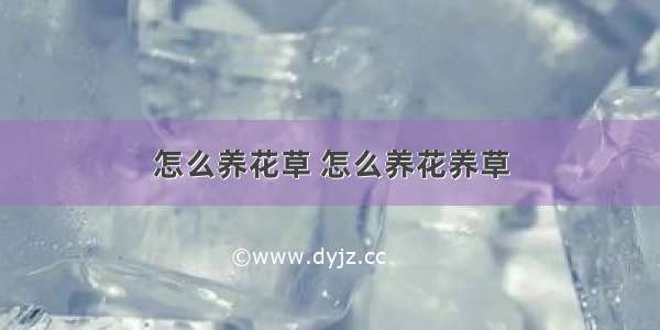 怎么养花草 怎么养花养草