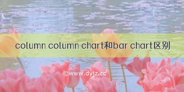 column column chart和bar chart区别
