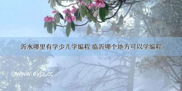 沂水哪里有学少儿学编程 临沂哪个地方可以学编程