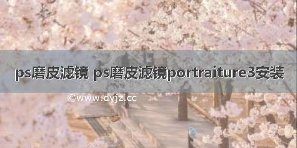 ps磨皮滤镜 ps磨皮滤镜portraiture3安装