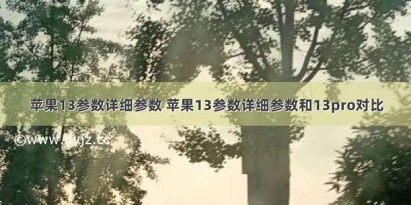 苹果13参数详细参数 苹果13参数详细参数和13pro对比