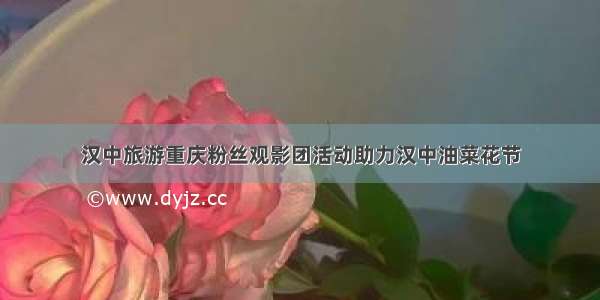 汉中旅游重庆粉丝观影团活动助力汉中油菜花节
