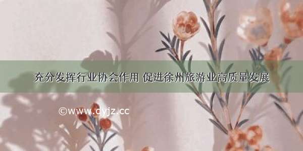 充分发挥行业协会作用 促进徐州旅游业高质量发展