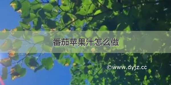 番茄苹果汁怎么做