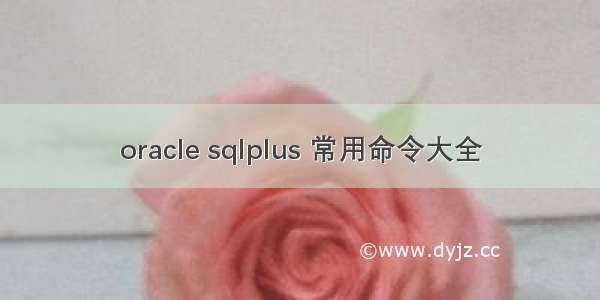 oracle sqlplus 常用命令大全