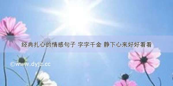 经典扎心的情感句子 字字千金 静下心来好好看看