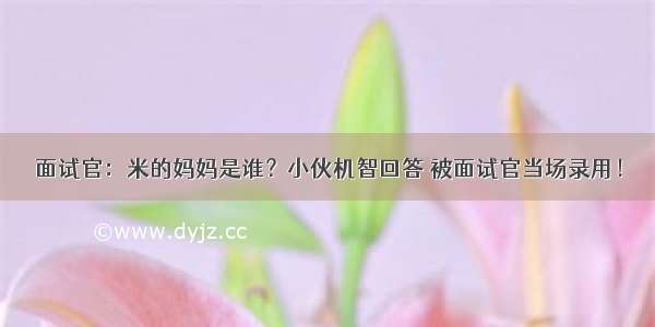 面试官：米的妈妈是谁？小伙机智回答 被面试官当场录用！