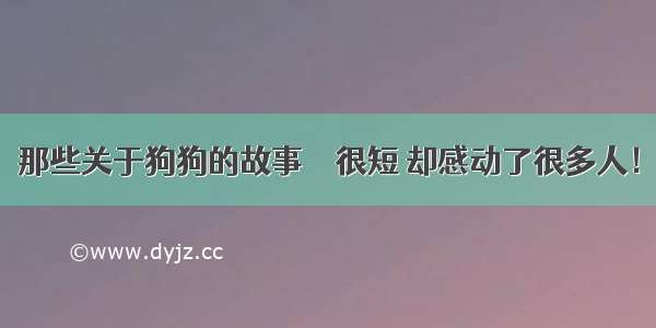 那些关于狗狗的故事 ｜ 很短 却感动了很多人！