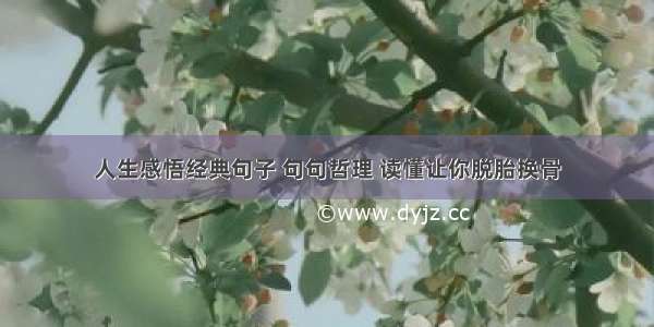 人生感悟经典句子 句句哲理 读懂让你脱胎换骨