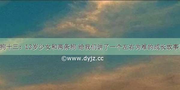 狗十三：13岁少女和两条狗 给我们讲了一个左右为难的成长故事！