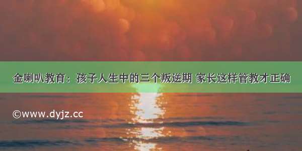 金喇叭教育：孩子人生中的三个叛逆期 家长这样管教才正确