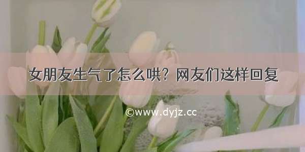 女朋友生气了怎么哄？网友们这样回复