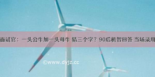 面试官：一头公牛加一头母牛 猜三个字？90后机智回答 当场录用