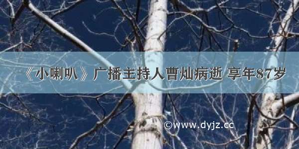 《小喇叭》广播主持人曹灿病逝 享年87岁