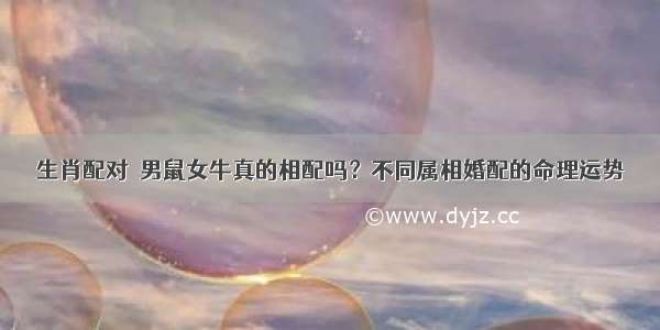 生肖配对｜男鼠女牛真的相配吗？不同属相婚配的命理运势