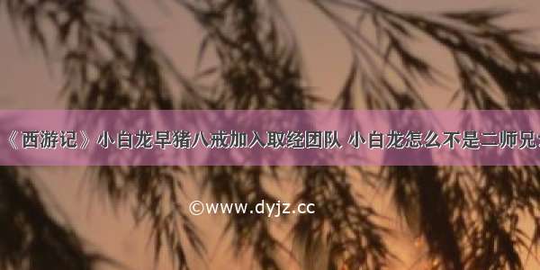 《西游记》小白龙早猪八戒加入取经团队 小白龙怎么不是二师兄？