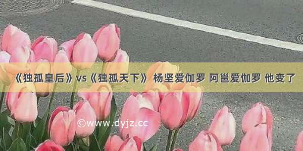 《独孤皇后》vs《独孤天下》 杨坚爱伽罗 阿邕爱伽罗 他变了