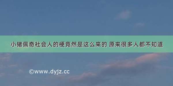 小猪佩奇社会人的梗竟然是这么来的 原来很多人都不知道