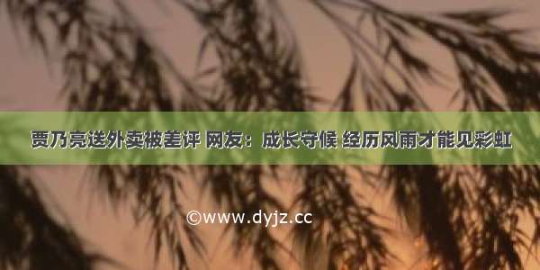 贾乃亮送外卖被差评 网友：成长守候 经历风雨才能见彩虹