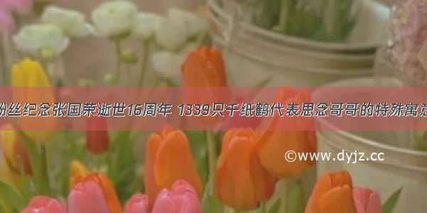 粉丝纪念张国荣逝世16周年 1339只千纸鹤代表思念哥哥的特殊寓意