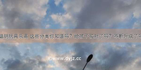 聪明玩具乐高 这些分类你知道吗？给孩子买对了吗？不断升级了吗