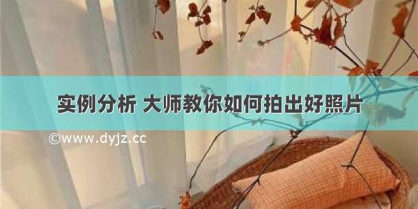 实例分析 大师教你如何拍出好照片