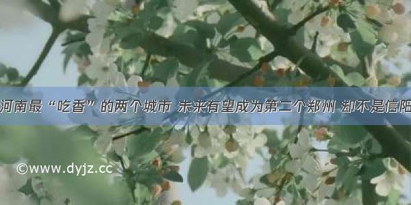 河南最“吃香”的两个城市 未来有望成为第二个郑州 却不是信阳