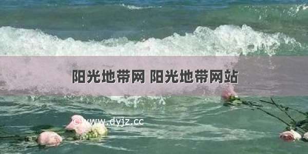 阳光地带网 阳光地带网站