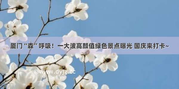 厦门“森”呼吸！一大波高颜值绿色景点曝光 国庆来打卡~