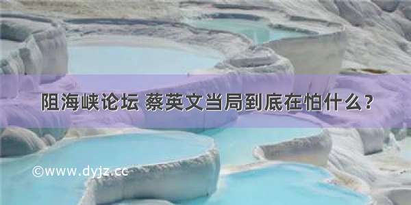 阻海峡论坛 蔡英文当局到底在怕什么？