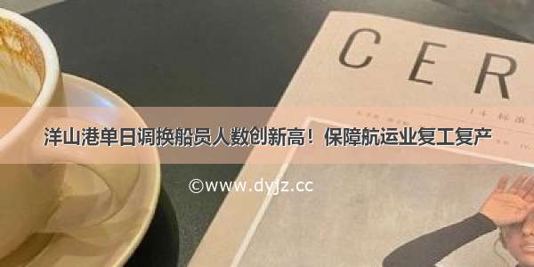 洋山港单日调换船员人数创新高！保障航运业复工复产