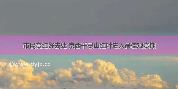 市民赏红好去处 京西千灵山红叶进入最佳观赏期