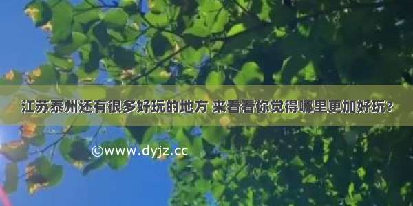 江苏泰州还有很多好玩的地方 来看看你觉得哪里更加好玩？