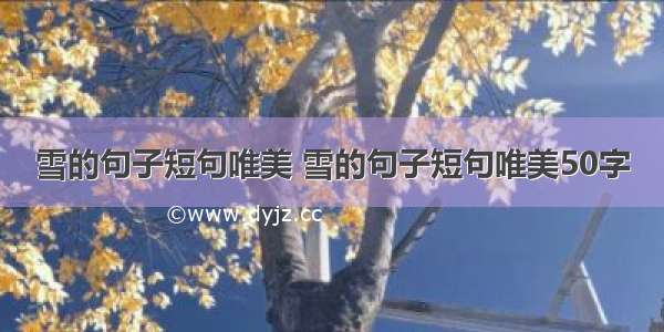 雪的句子短句唯美 雪的句子短句唯美50字