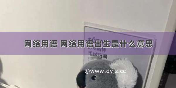 网络用语 网络用语出生是什么意思