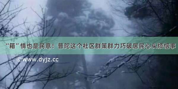 “箱”情也是民意！普陀这个社区群策群力巧破居民心头烦恼事