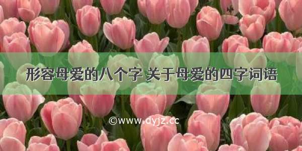 形容母爱的八个字 关于母爱的四字词语