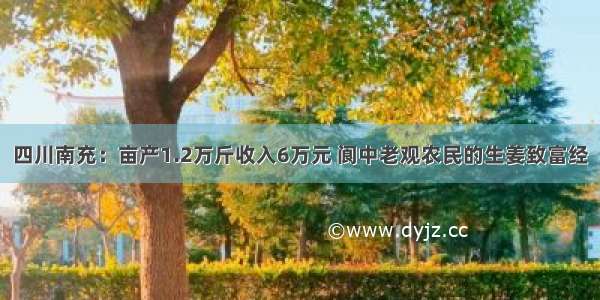 四川南充：亩产1.2万斤收入6万元 阆中老观农民的生姜致富经