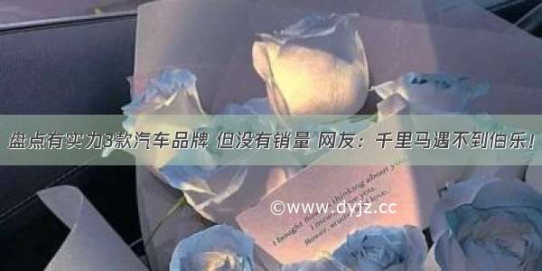 盘点有实力3款汽车品牌 但没有销量 网友：千里马遇不到伯乐！