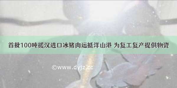 首批100吨援汉进口冰猪肉运抵洋山港 为复工复产提供物资