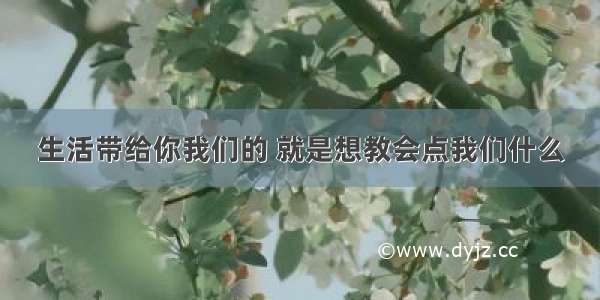 生活带给你我们的 就是想教会点我们什么