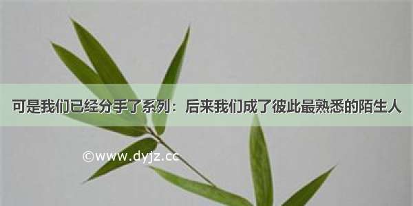 可是我们已经分手了系列：后来我们成了彼此最熟悉的陌生人