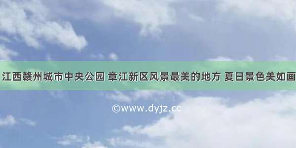 江西赣州城市中央公园 章江新区风景最美的地方 夏日景色美如画