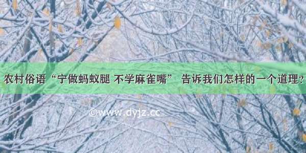 农村俗语“宁做蚂蚁腿 不学麻雀嘴” 告诉我们怎样的一个道理？