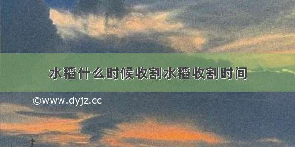 水稻什么时候收割水稻收割时间