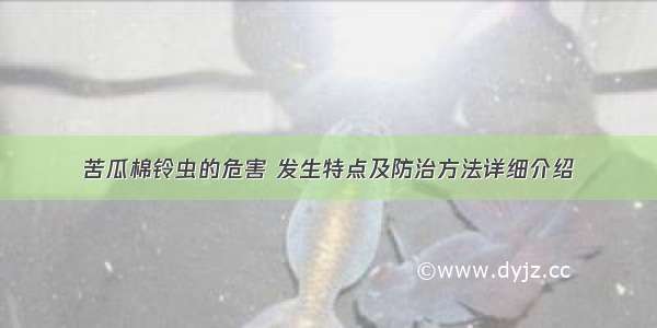 苦瓜棉铃虫的危害 发生特点及防治方法详细介绍