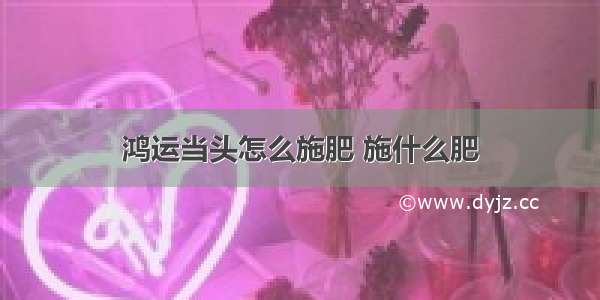 鸿运当头怎么施肥 施什么肥