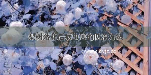 梨树落花后病虫害的防治方法