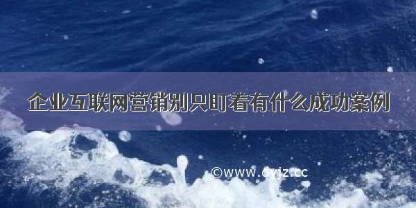 企业互联网营销别只盯着有什么成功案例