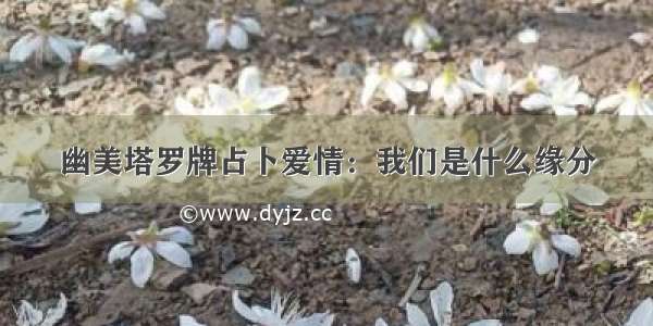 幽美塔罗牌占卜爱情：我们是什么缘分